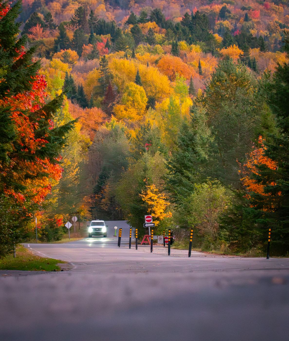 Route à travers une forêt aux couleurs d’automne